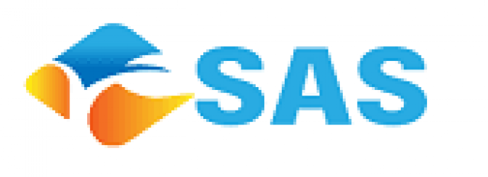 Sas Digital Marketing Company